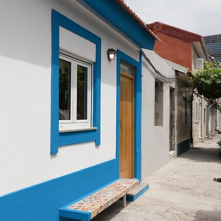 Oportohost Campanha Daire Dış mekan fotoğraf
